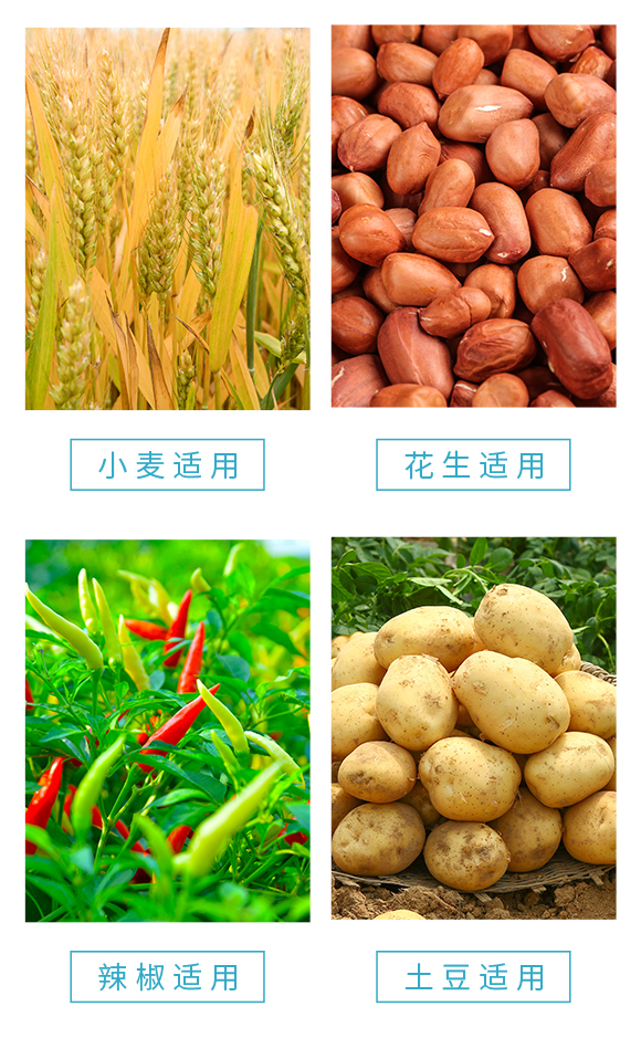 濂ユ柉æ¬è·¨æ•“é—╃î–鎶€éˆå¤æªºé徃-榛æˆå§é‹ãƒ§ç††å©§æ„°ç²é‘µæ„°å€é–½?é‚藉é‹î™¥06.jpg 濂ユ柉æ¬è·¨æ•“é—╃î–鎶€éˆå¤æªºé徃-榛æˆå§é‹ãƒ§ç††å©§æ„°ç²é‘µæ„°å€é–½?é‚藉é‹î™¥06.jpg