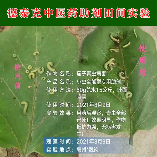 13.jpg 13.jpg