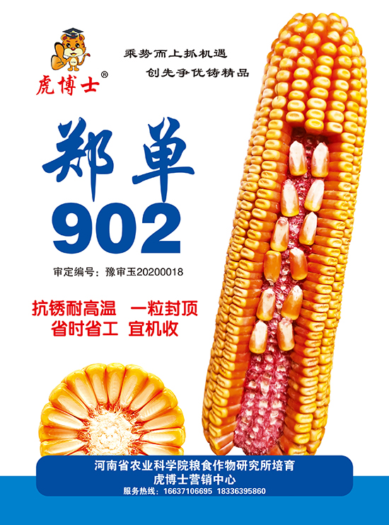 11.jpg 11.jpg