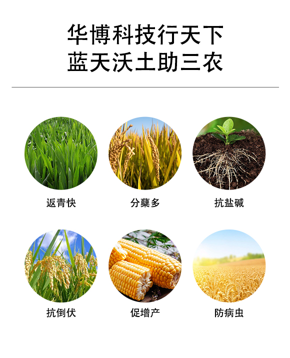 榪旈潚鍒嗚槚鏌潏鑲?鍗庡崥澶╀笅_02.jpg