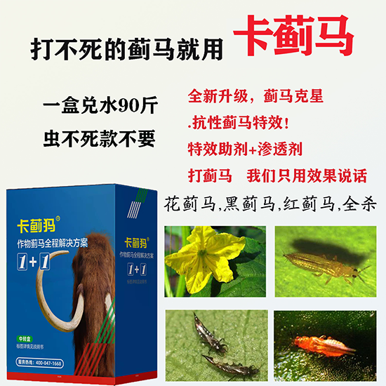 钃熼┈1+1.png