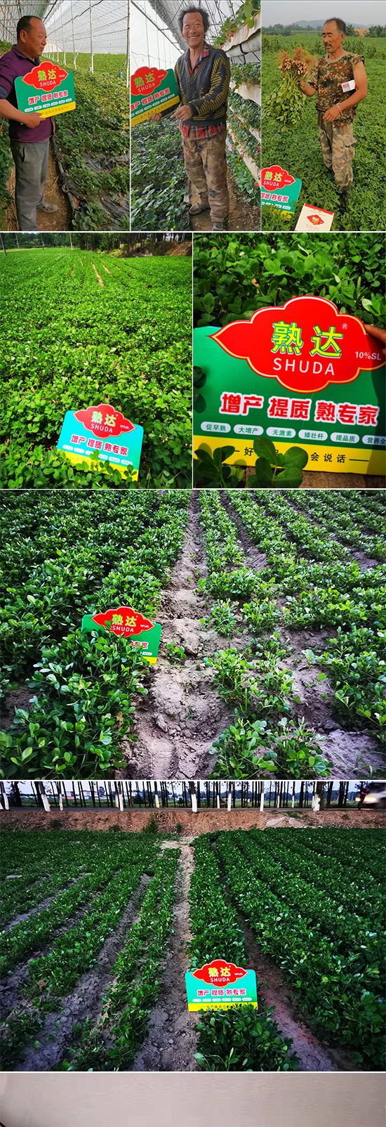 寰俊鍥劇墖_20220224093916_01.jpg