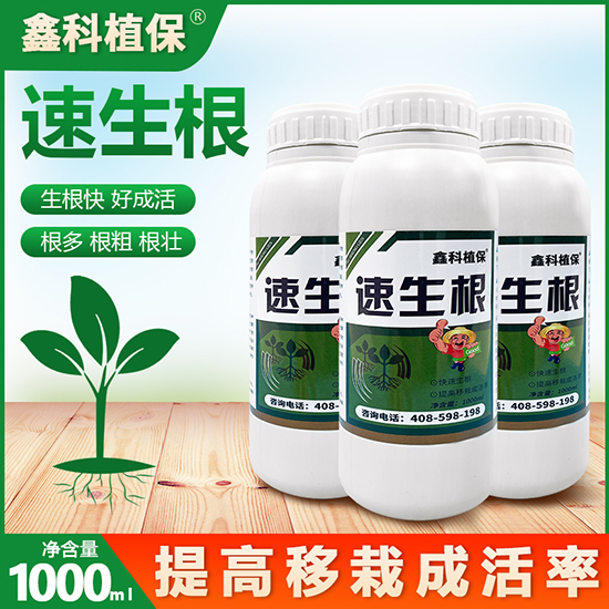 閫熺敓鏍?閼妞嶄繚.jpg