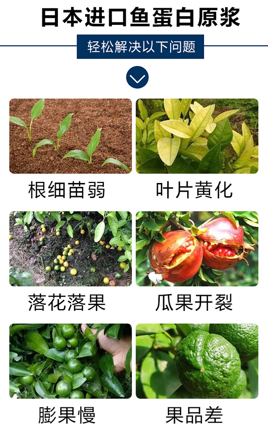 éˆî…çˆ£æ£°?1_04.jpg