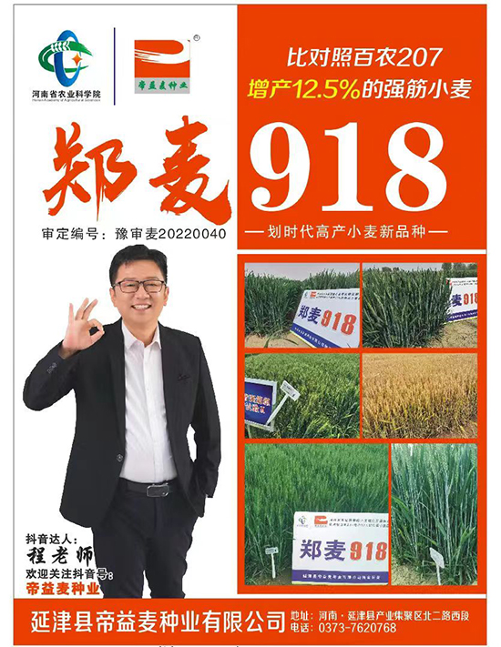 1.jpg 1.jpg