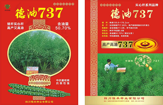 娌硅彍縐嶅瓙-寰鋒補737-鎭掔縐嶄笟2.jpg