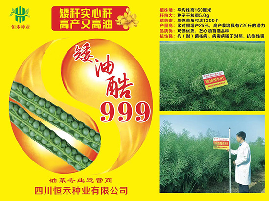 娌硅彍縐嶅瓙-鐭補閰?99-鎭掔縐嶄笟2.jpg