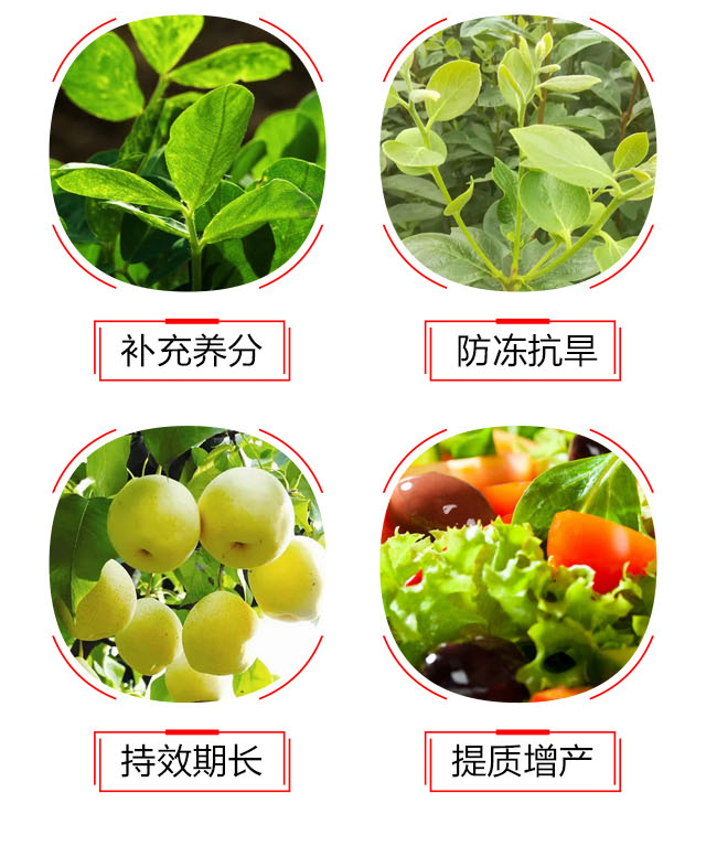 è‚¥ç‹€å…ƒè¾²ç”¨ç¡é…¸éŠ¨éˆ£_04.jpg
