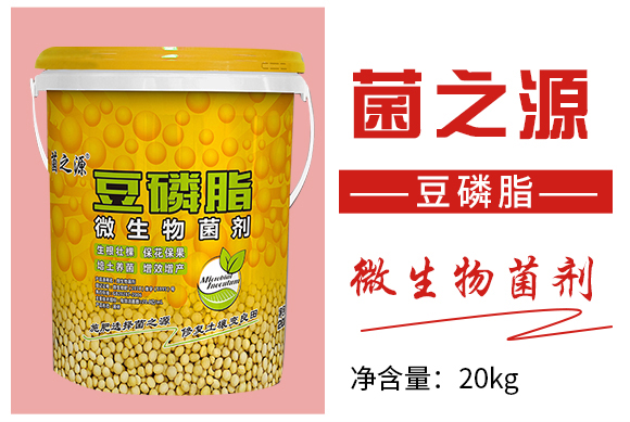 鑿屼箣婧?鏅垱縐戞妧_03.jpg