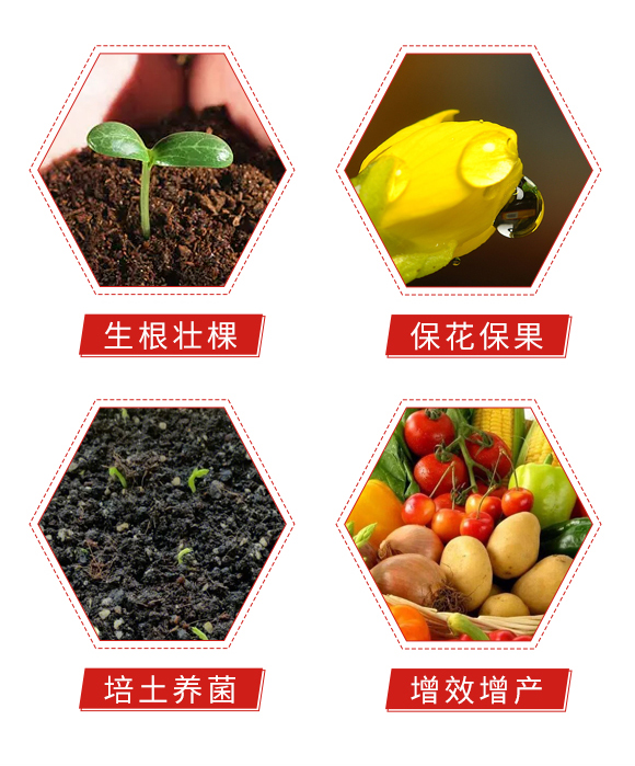 鑿屼箣婧?鏅垱縐戞妧_05.jpg