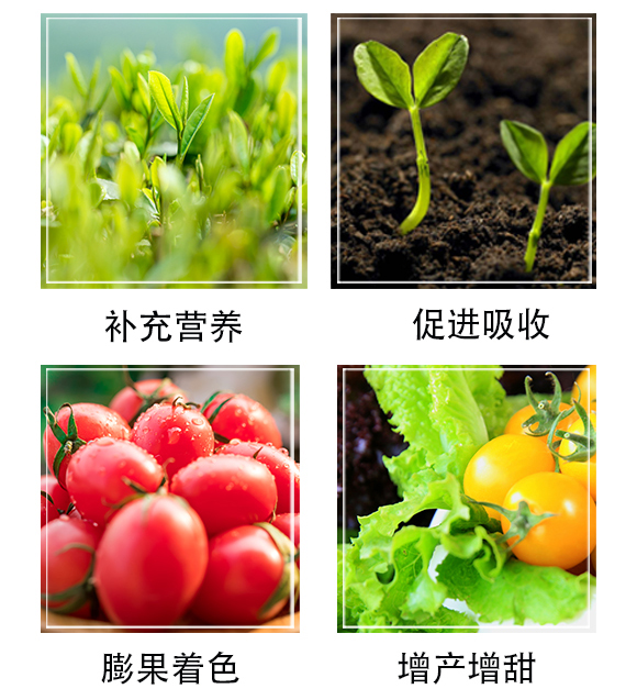 鑶ㄦ灉闈撴灉-娌冩槗鏂絖05.jpg