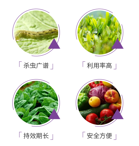 鐢茬淮路铏灗鑵堟?zhèn)瑡巩鍓?瀹濈劧鐢熺墿_05.jpg