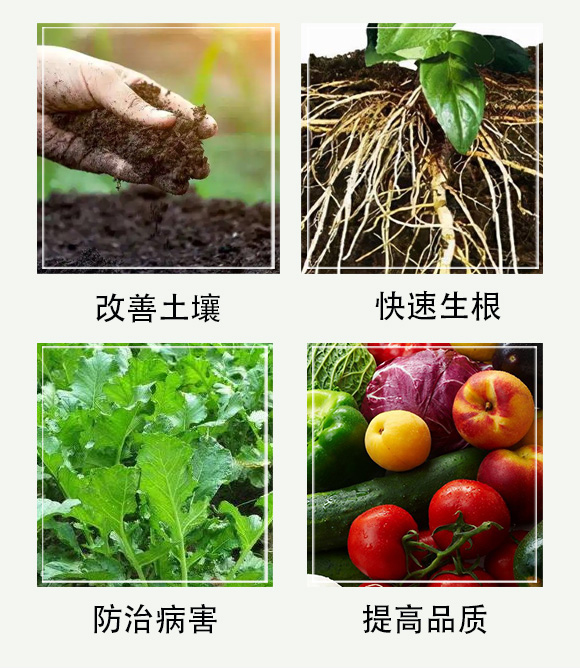 艾詠農-佳禾宜農_05.jpg 艾詠農-佳禾宜農_05.jpg