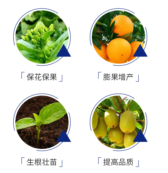 牛轟轟-佳禾宜農_06.jpg