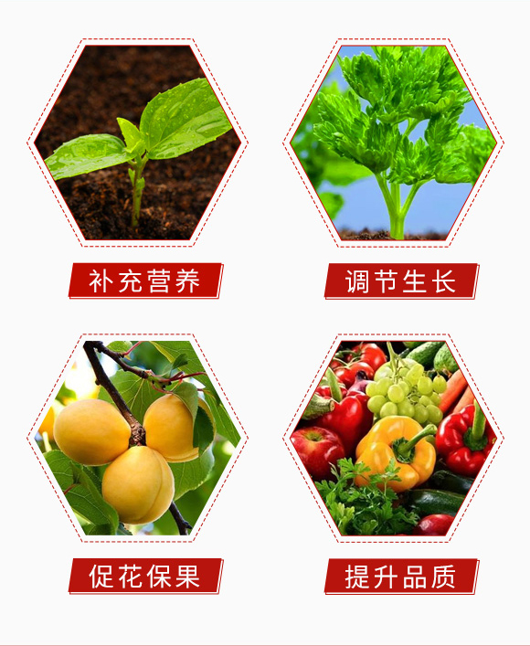 è°·æ˜”ä¹‹-ä¸­è—(lÃ¡n)è¾²(nÃ³ng)æ¥­(yÃ¨)_05.jpg