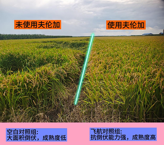 3.jpg 3.jpg