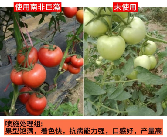 鏈爣棰?1.jpg 鏈爣棰?1.jpg