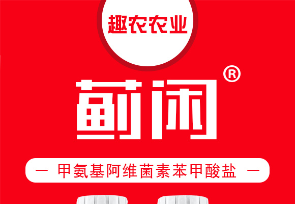 鏈爣棰?1_01.jpg