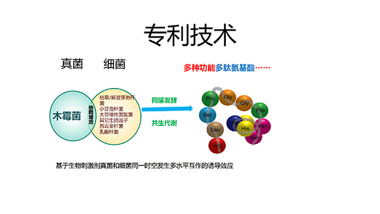 浼婂疂闃垮反澹?--淇濆畾_09.jpg