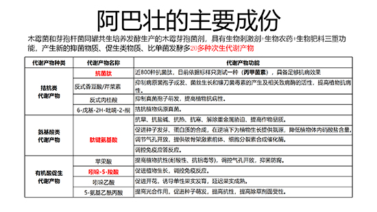 浼婂疂闃垮反澹?--淇濆畾_10.jpg