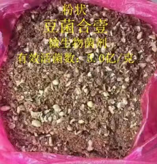 璞嗚弻鍚堝9璞嗙7鑴傚井鐢熺墿鑿屽墏1.jpg 璞嗚弻鍚堝9璞嗙7鑴傚井鐢熺墿鑿屽墏1.jpg