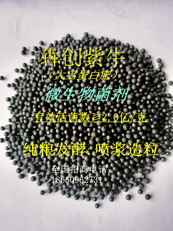 寰俊鍥劇墖_20240724104238~1.jpg