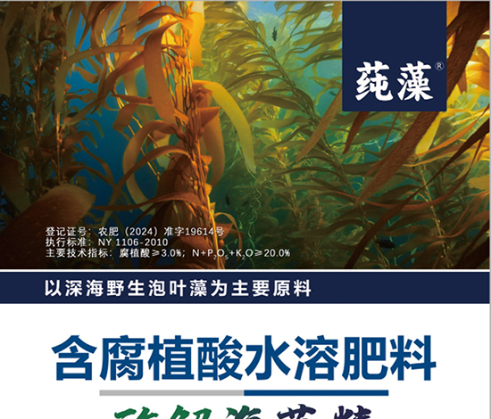 嫻瘋椈綺捐鎯呴〉1_01.jpg