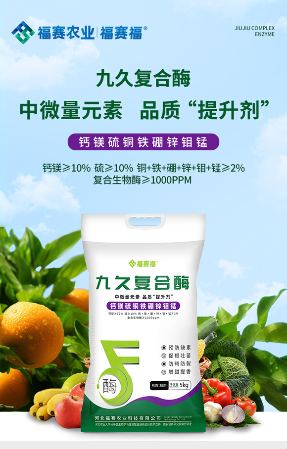 涔濅箙澶嶅悎閰惰鎯呴〉_01.jpg