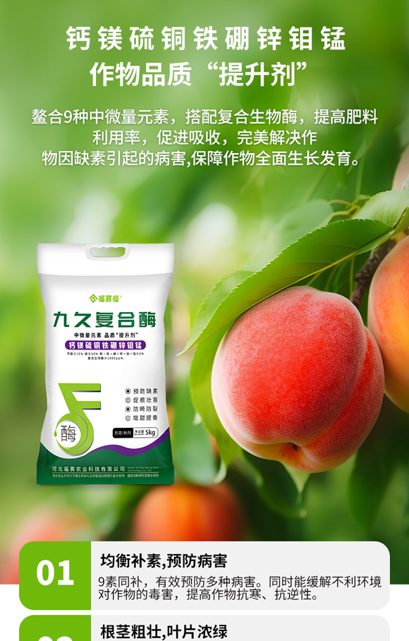 涔濅箙澶嶅悎閰惰鎯呴〉_03.jpg