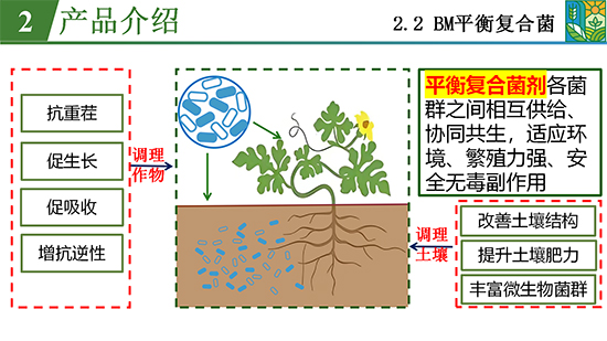 鑿屽惥緇嗙爺鍐滀笟綃嘷13.jpg 鑿屽惥緇嗙爺鍐滀笟綃嘷13.jpg
