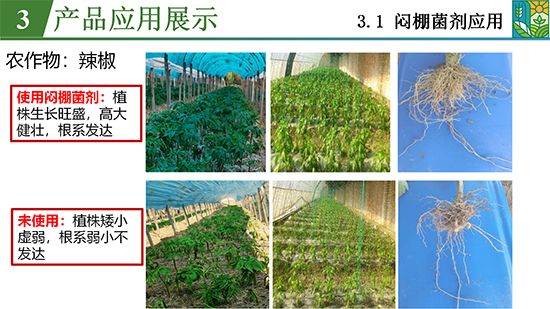 鑿屽惥緇嗙爺鍐滀笟綃嘷22.jpg 鑿屽惥緇嗙爺鍐滀笟綃嘷22.jpg