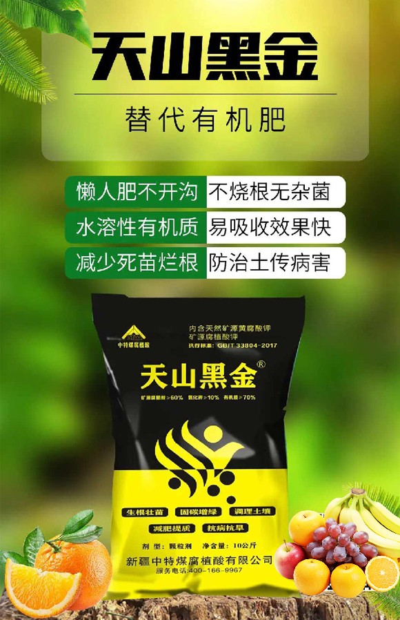 澶╁北榛戦噾-涓壒鐓01.jpg