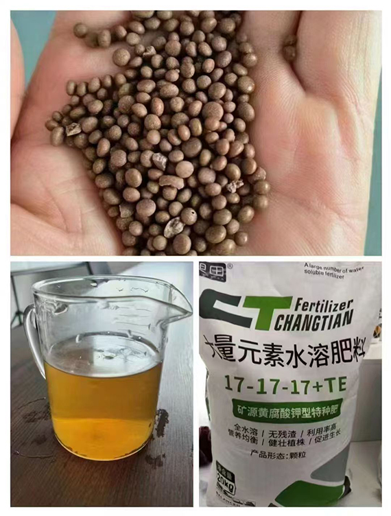 寰俊鍥劇墖_20250304104440.jpg
