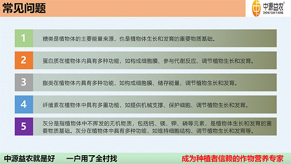 DBA增重剂_06.jpg