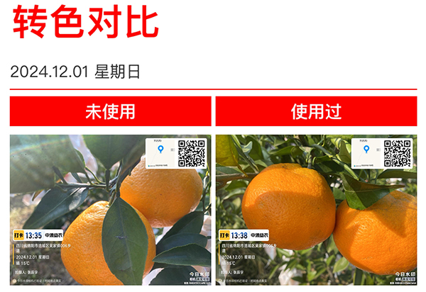 å¯°î†»ä¿Šé¥åŠ‡å¢–_20250315090235.jpg