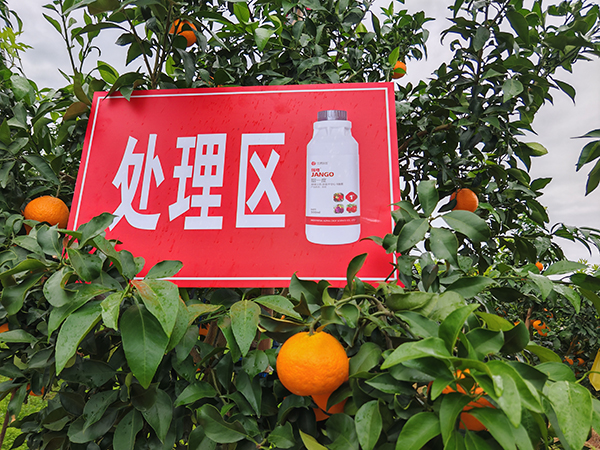 å¯°î†»ä¿Šé¥åŠ‡å¢–_20250315090247.jpg