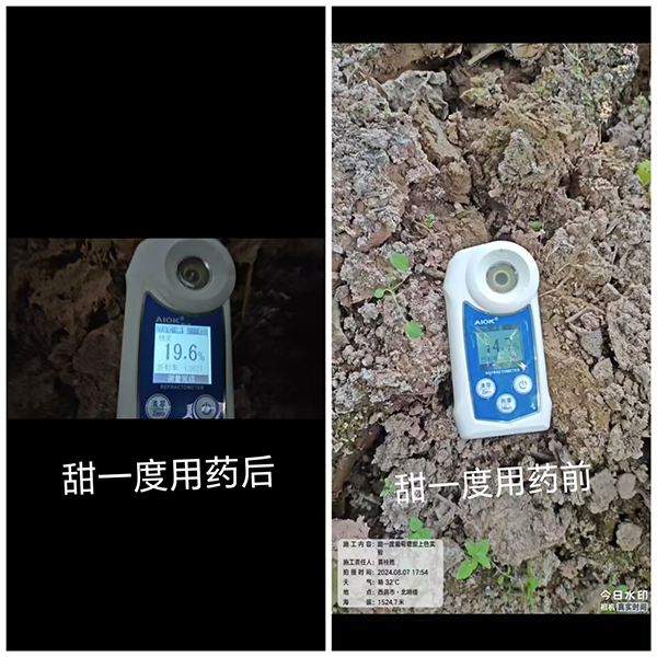å¯°î†»ä¿Šé¥åŠ‡å¢–_20250315090318.jpg