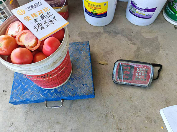 å¯°î†»ä¿Šé¥åŠ‡å¢–_20250315090448.jpg