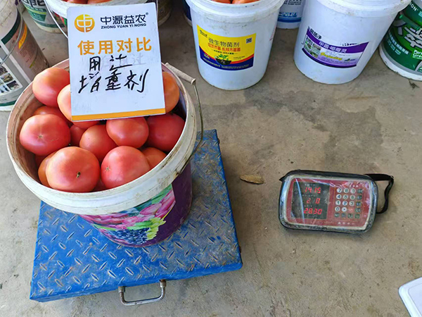 å¯°î†»ä¿Šé¥åŠ‡å¢–_20250315090451.jpg
