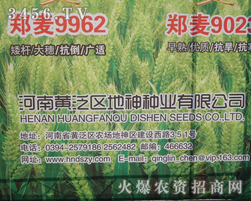 河南黃泛區(qū)地神種業(yè)