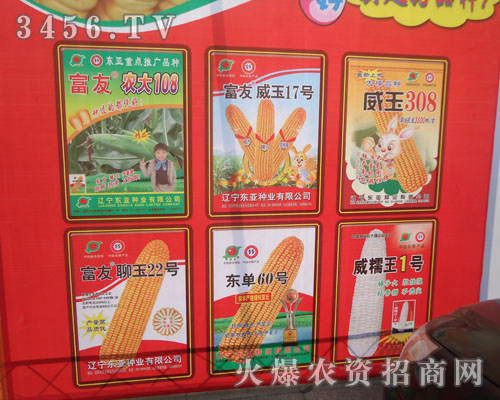 遼寧東亞種業(yè)有限公司