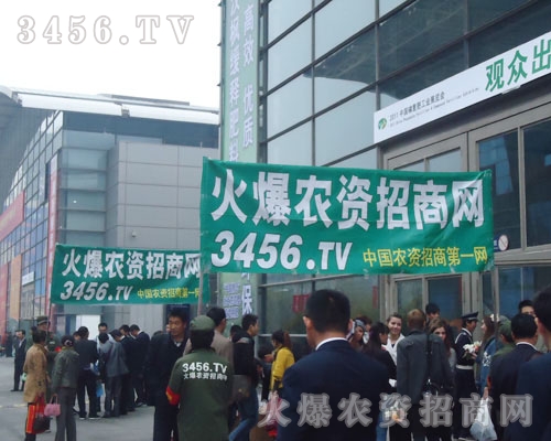 努力造就實力，態度決定高度