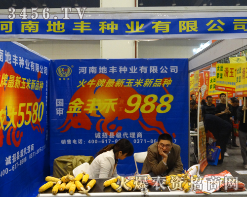 河南地豐種業在2013鄭州秋季種子會上展現實力