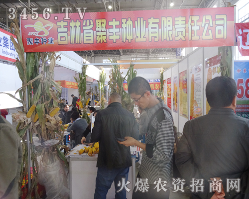 吉林省聚豐種業在2014長春種子交易會為大家展示新品