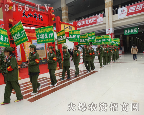 3456.TVף2015ʝrYAMɹ
