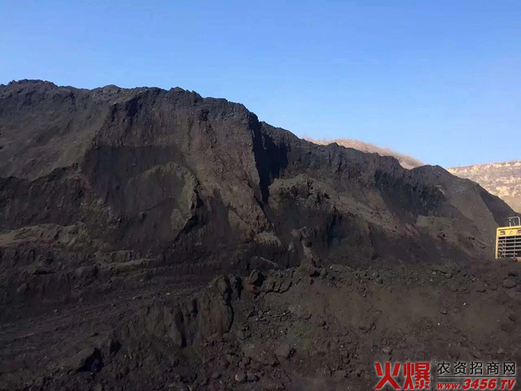 山西盛世藍天生物科技有限公司