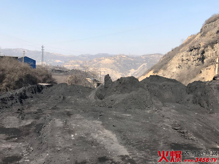 山西盛世藍天生物科技有限公司