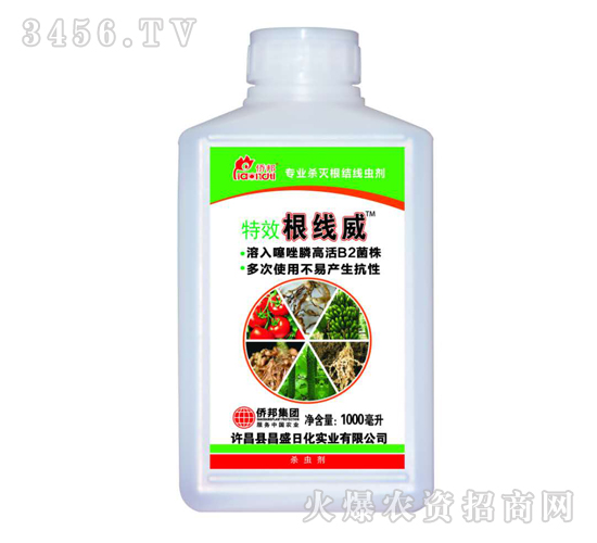 黃瓜根結線蟲嚴重怎么辦?僑邦,讓線蟲防治變得很容易!
