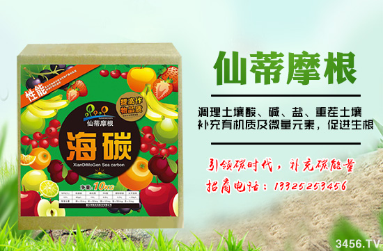 意大利帕沃尼—碳時代,補充碳能量
