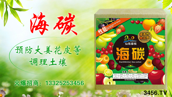 意大利帕沃尼—碳時代,補充碳能量